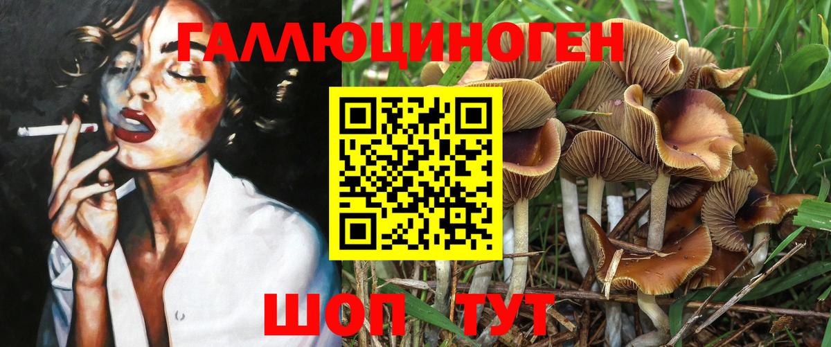 Псилоцибиновые грибы MAGIC MUSHROOMS Вольск