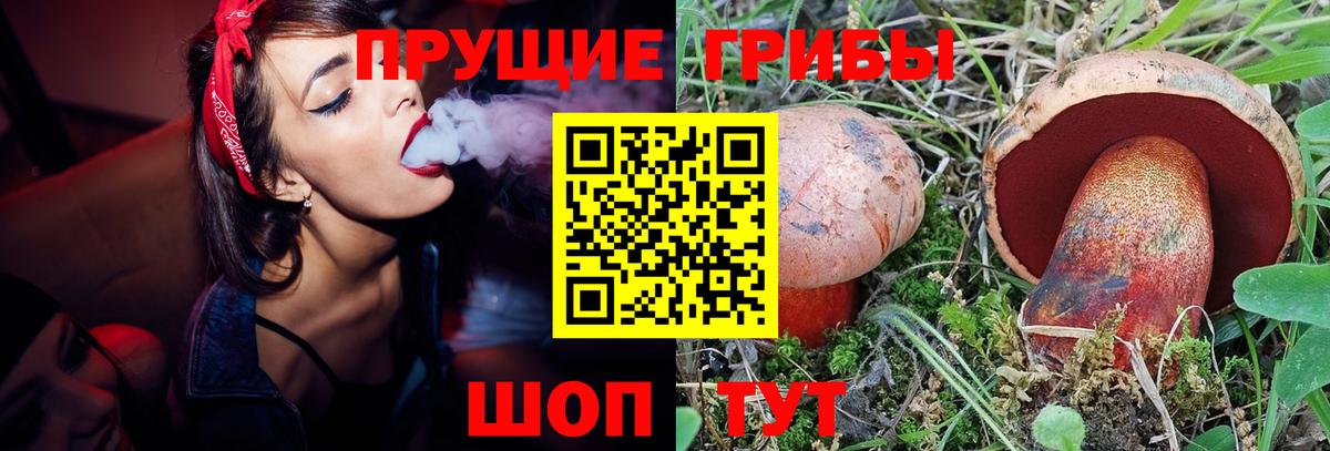 Галлюциногенные грибы прущие грибы  Вход с VPN  где купить наркотик  Вольск 